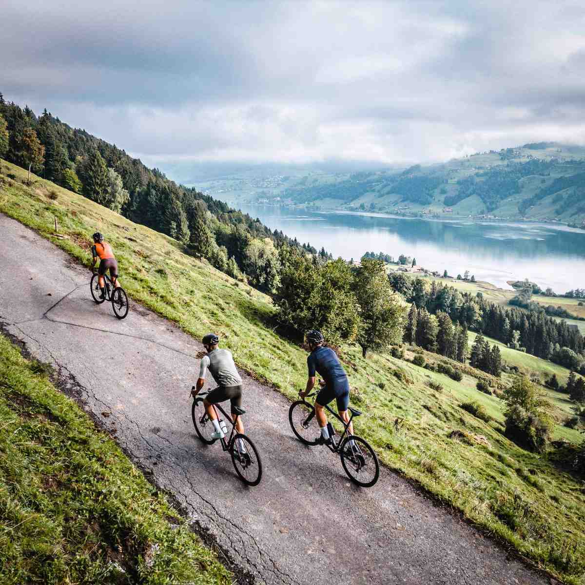 zelt einfach aufbauen 1 Person Zelt, Aufbau, Camping Zelt, Rucksack, für Camping, Wander, Outdoor Aktivitäten Sport & Freizeit FREERIDE MTB Bikepark Winterberg 5rdr generic Size:700x32c